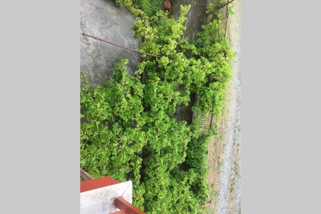 Eva Apartment With Great View 에파노미 외부 사진